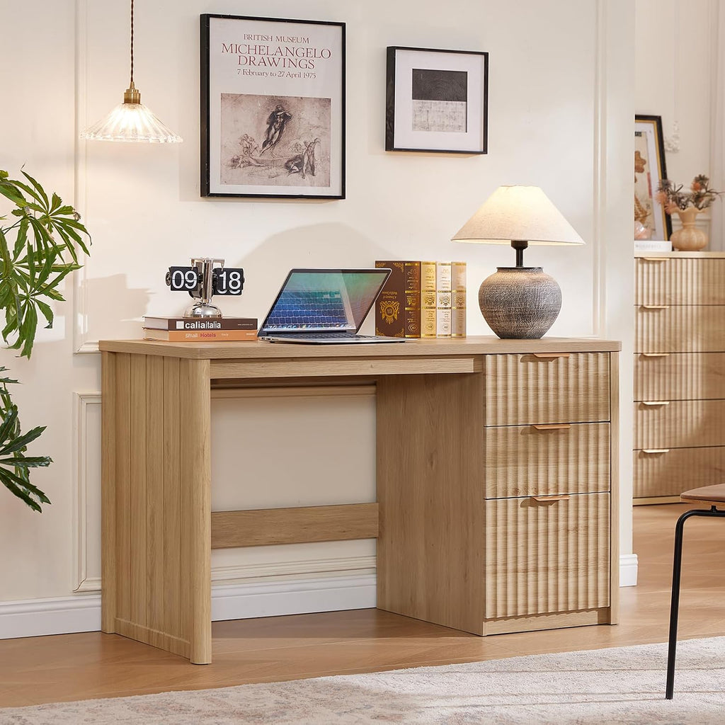 LEYAOYAO Office Desk 48" with 3 Drawers Storage File Cabinet