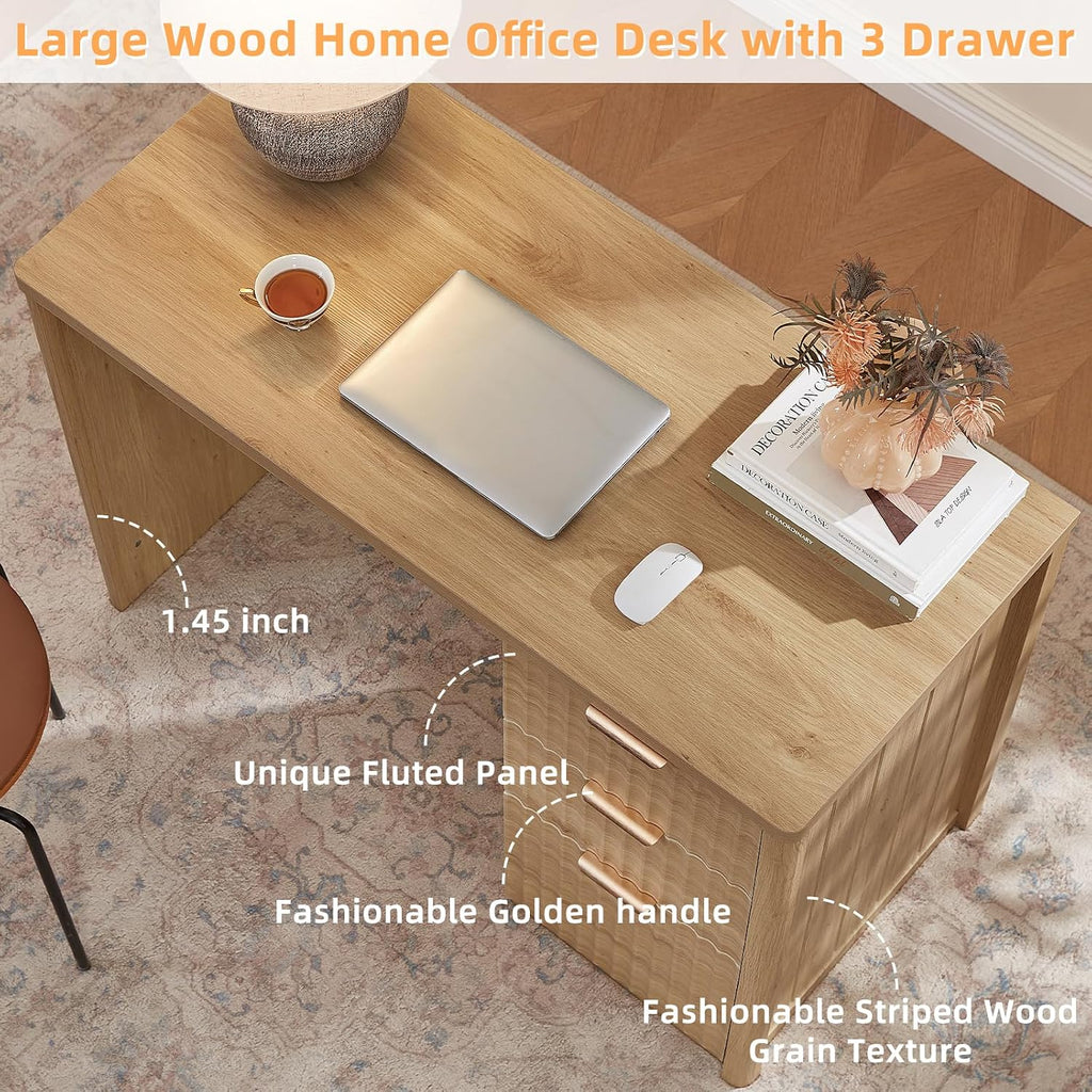 LEYAOYAO Office Desk 48" with 3 Drawers Storage File Cabinet
