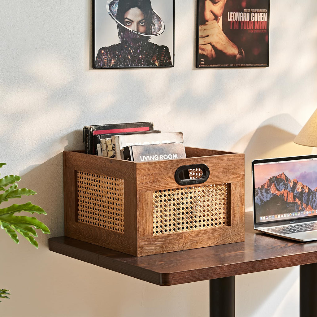 LEYAOYAO Vinyl Record Storage, Rattan Record Crate for Vinyl Albums Holder