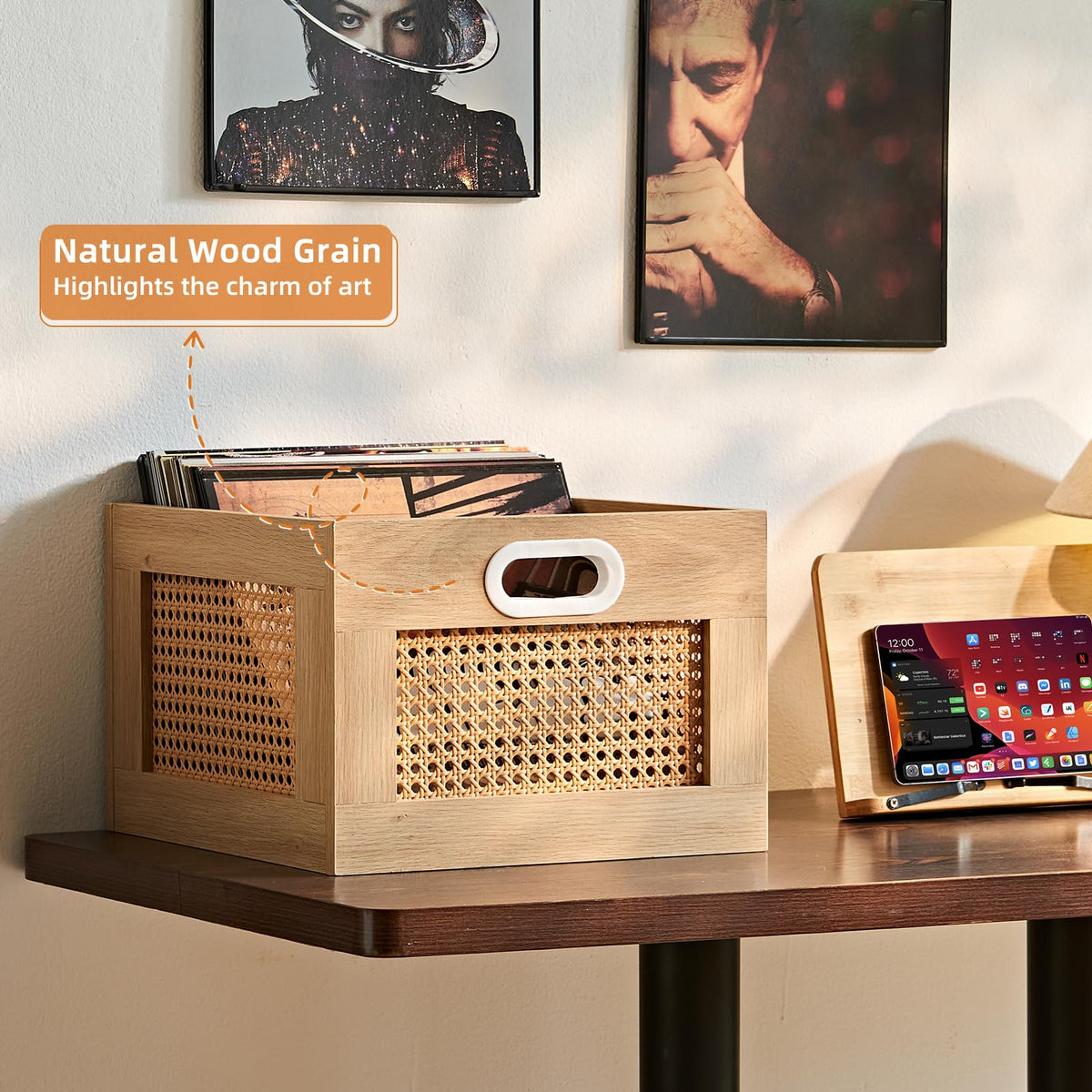LEYAOYAO Vinyl Record Storage, Rattan Record Crate for Vinyl Albums Holder