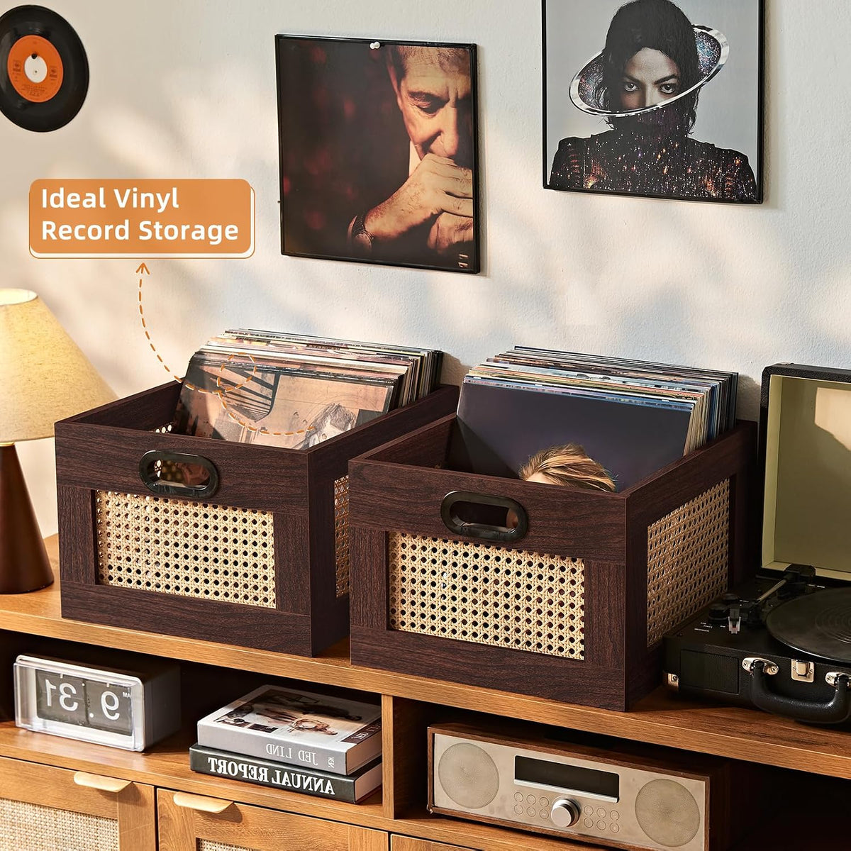 LEYAOYAO Vinyl Record Storage, Rattan Record Crate for Vinyl Albums Holder
