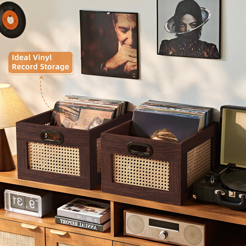 LEYAOYAO Vinyl Record Storage, Rattan Record Crate for Vinyl Albums Holder