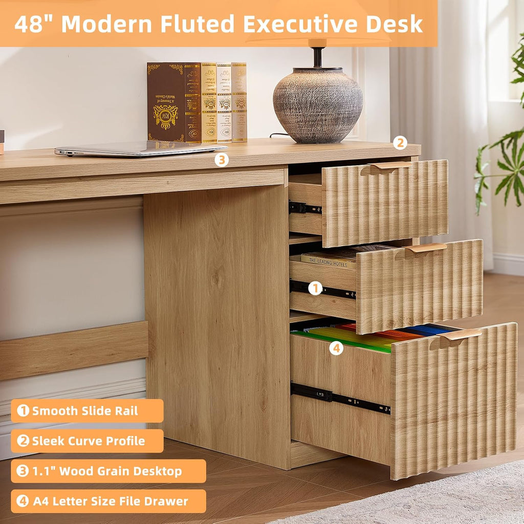 LEYAOYAO Office Desk 48" with 3 Drawers Storage File Cabinet