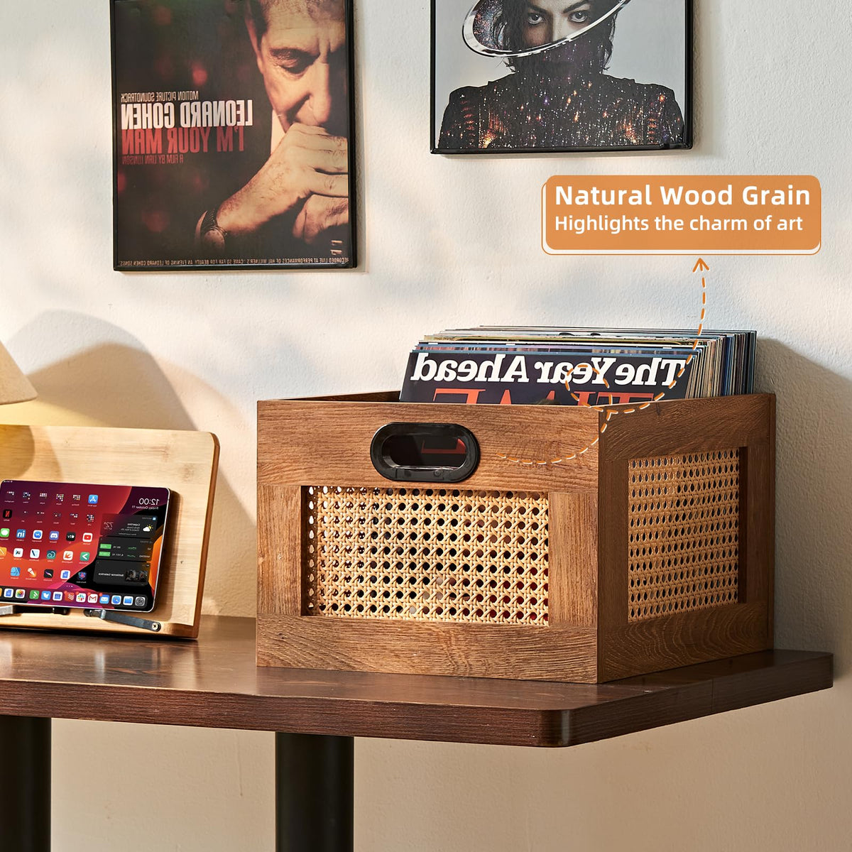 LEYAOYAO Vinyl Record Storage, Rattan Record Crate for Vinyl Albums Holder