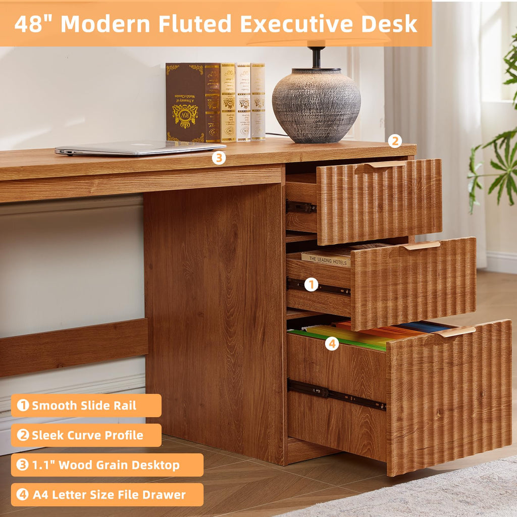 LEYAOYAO Office Desk 48" with 3 Drawers Storage File Cabinet