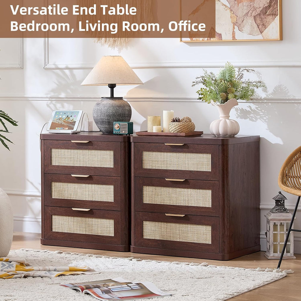 LEYAOYAO Rattan 23" Nightstands with Charger Station 2 Drawers