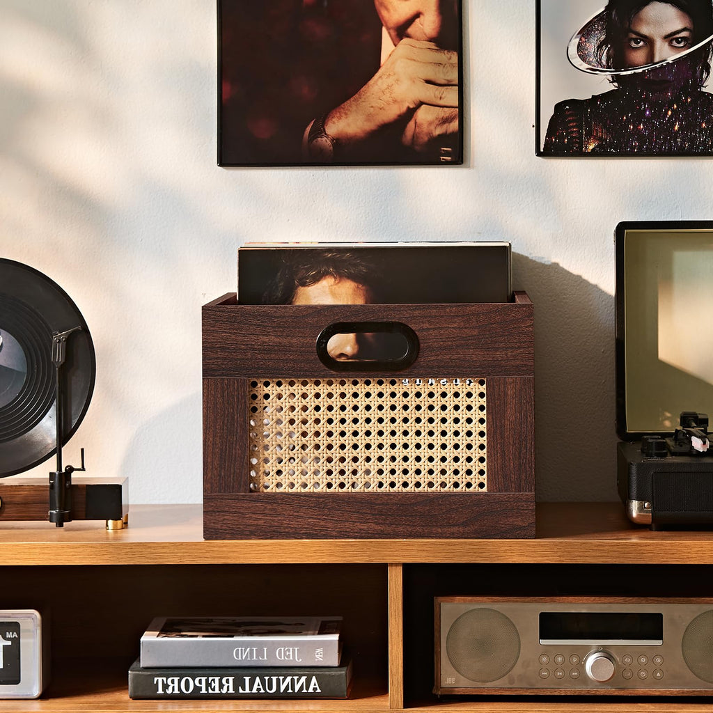 LEYAOYAO Vinyl Record Storage, Rattan Record Crate for Vinyl Albums Holder