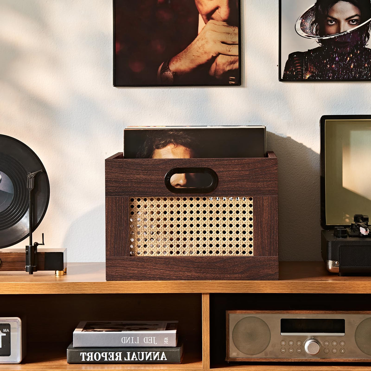 LEYAOYAO Vinyl Record Storage, Rattan Record Crate for Vinyl Albums Holder