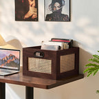 LEYAOYAO Vinyl Record Storage, Rattan Record Crate for Vinyl Albums Holder