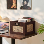 LEYAOYAO Vinyl Record Storage, Rattan Record Crate for Vinyl Albums Holder