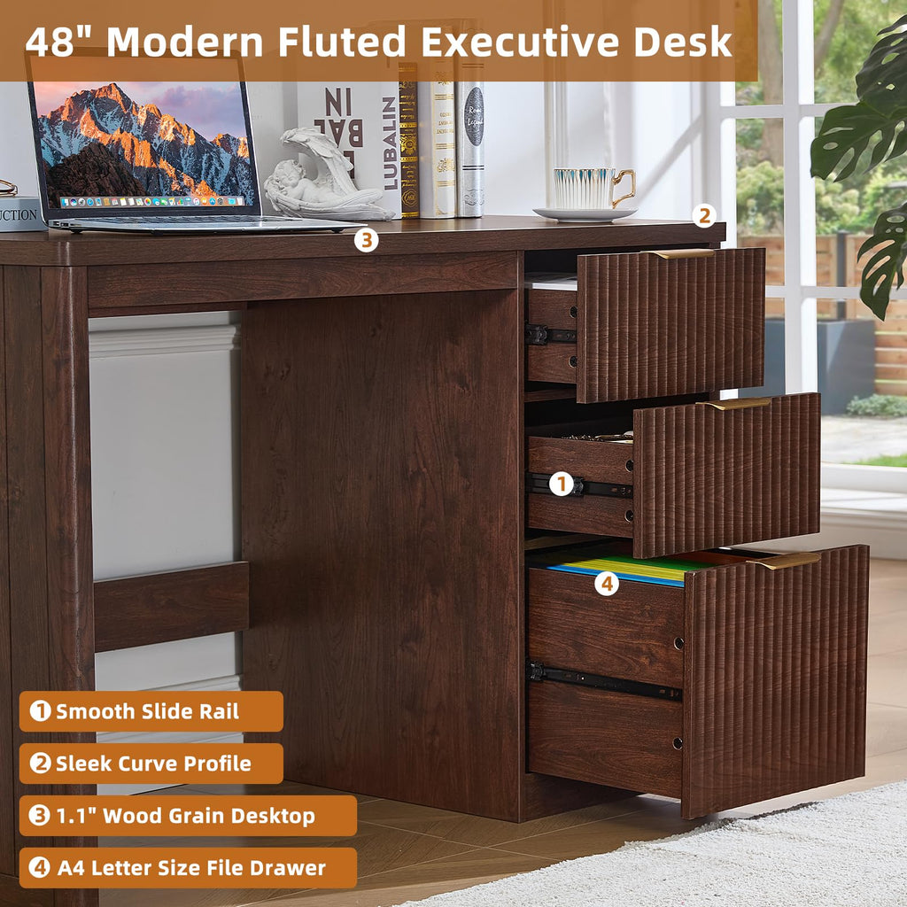 LEYAOYAO Office Desk 48" with 3 Drawers Storage File Cabinet