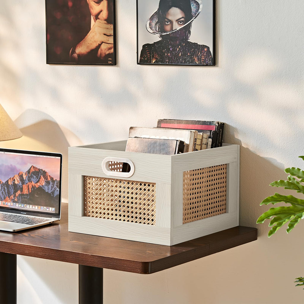 LEYAOYAO Vinyl Record Storage, Rattan Record Crate for Vinyl Albums Holder