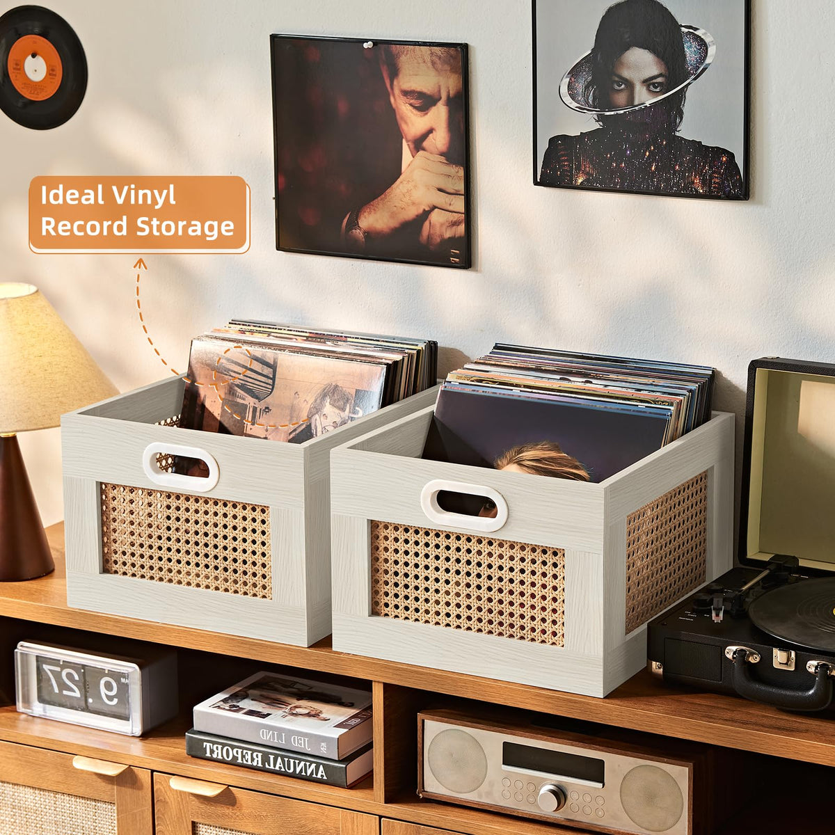 LEYAOYAO Vinyl Record Storage, Rattan Record Crate for Vinyl Albums Holder