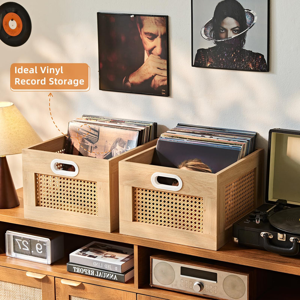 LEYAOYAO Vinyl Record Storage, Rattan Record Crate for Vinyl Albums Holder