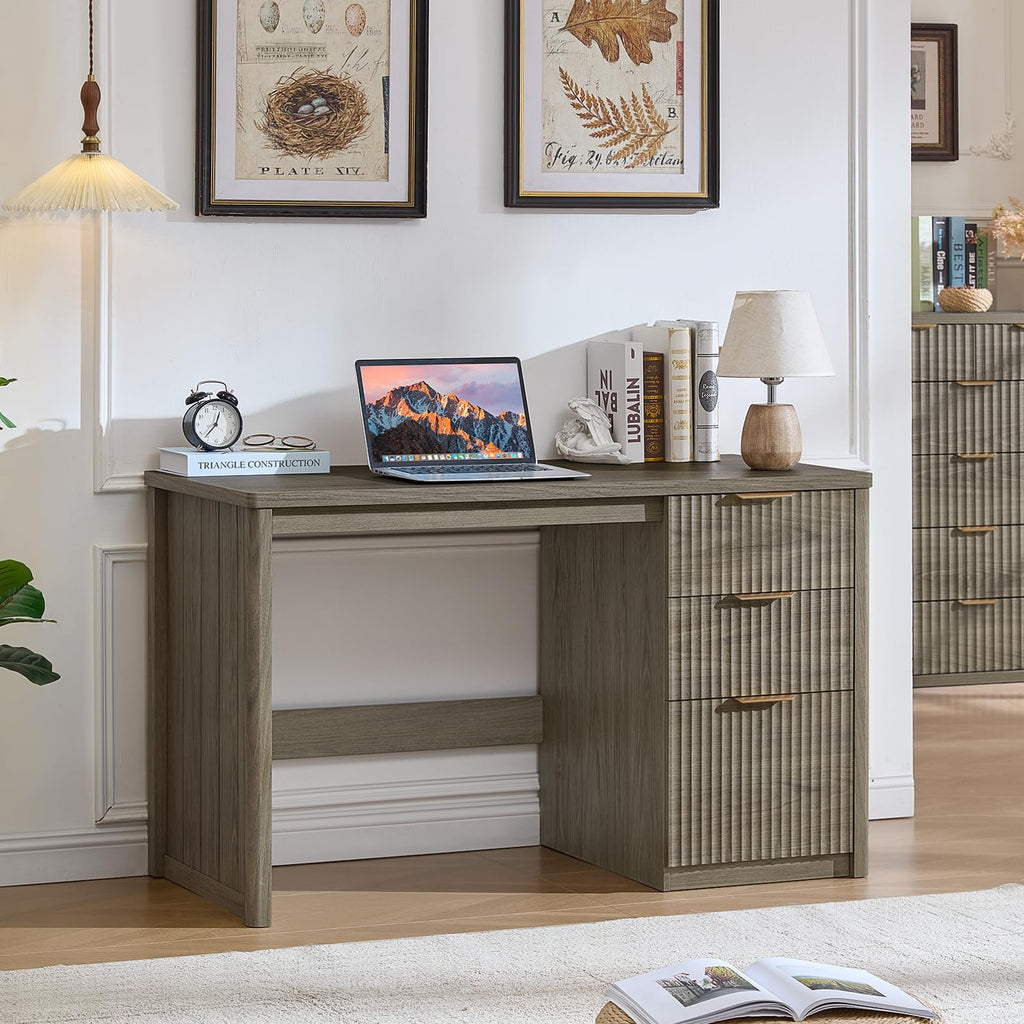 LEYAOYAO Office Desk 48" with 3 Drawers Storage File Cabinet