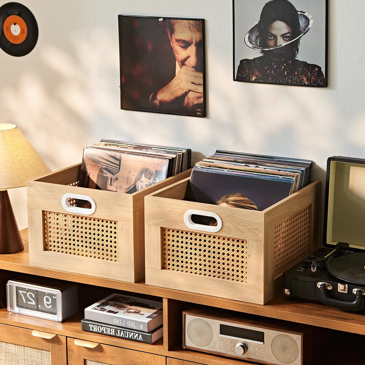 LEYAOYAO Vinyl Record Storage, Rattan Record Crate for Vinyl Albums Holder
