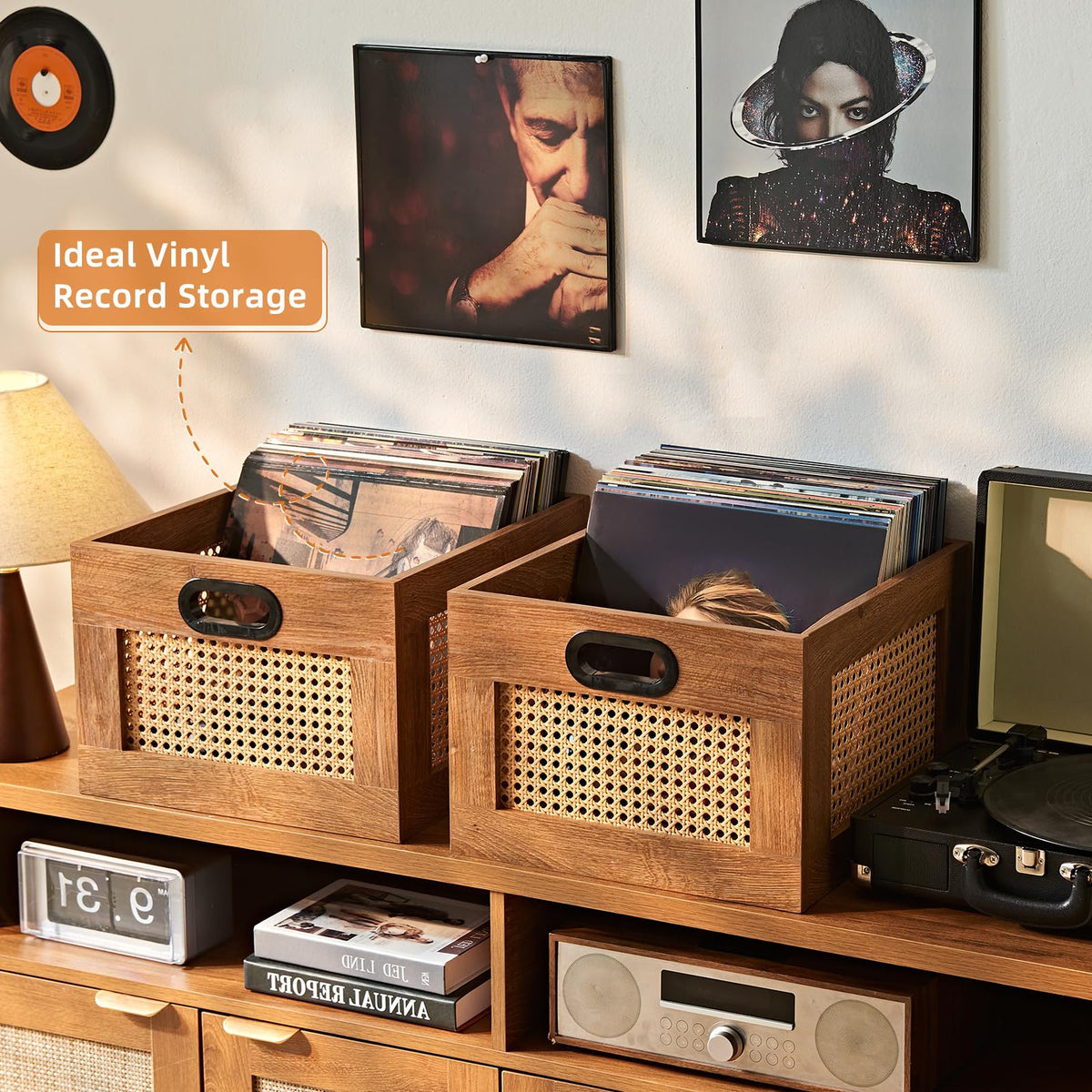 LEYAOYAO Vinyl Record Storage, Rattan Record Crate for Vinyl Albums Holder