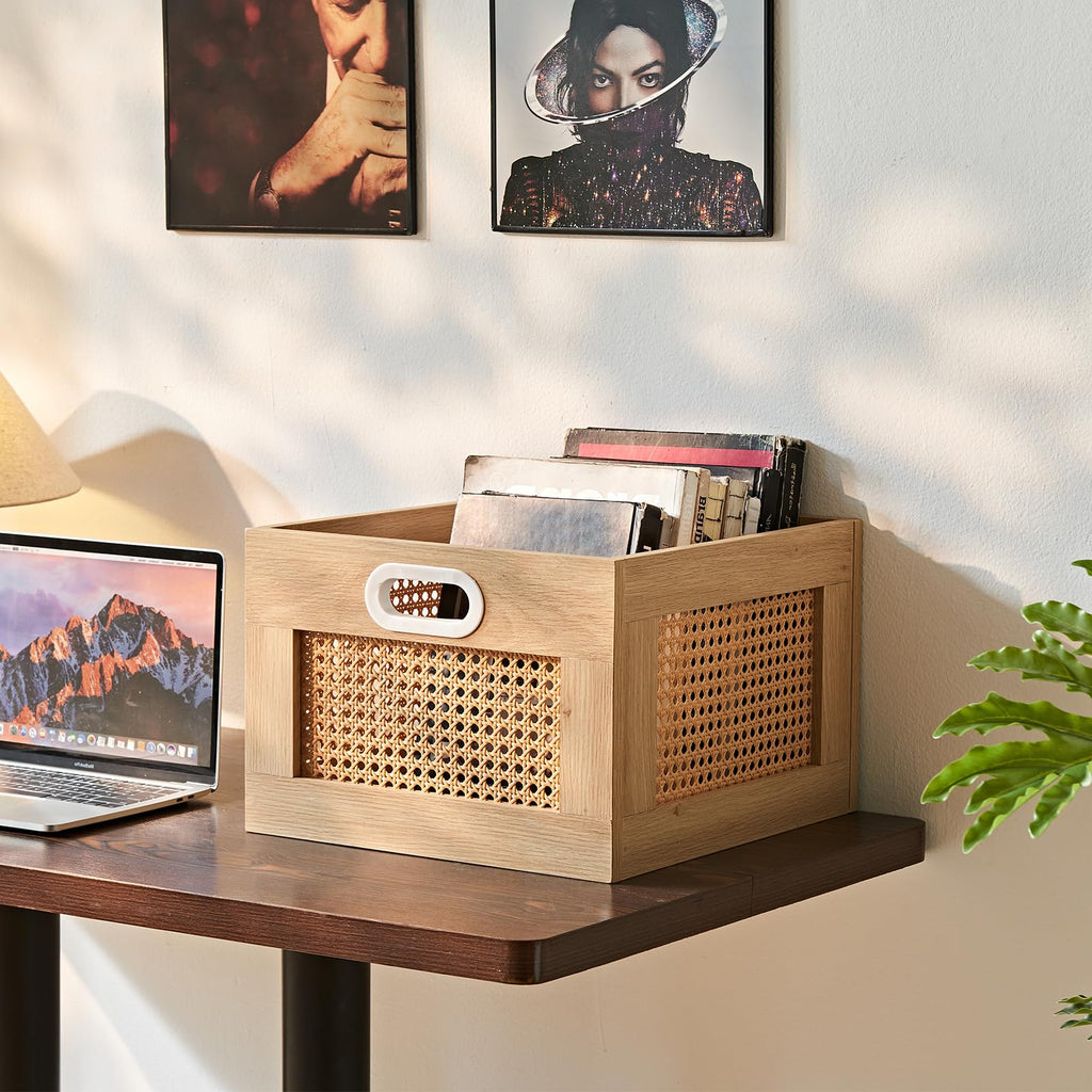 LEYAOYAO Vinyl Record Storage, Rattan Record Crate for Vinyl Albums Holder