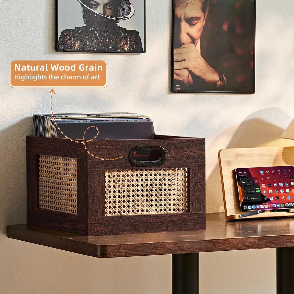LEYAOYAO Vinyl Record Storage, Rattan Record Crate for Vinyl Albums Holder