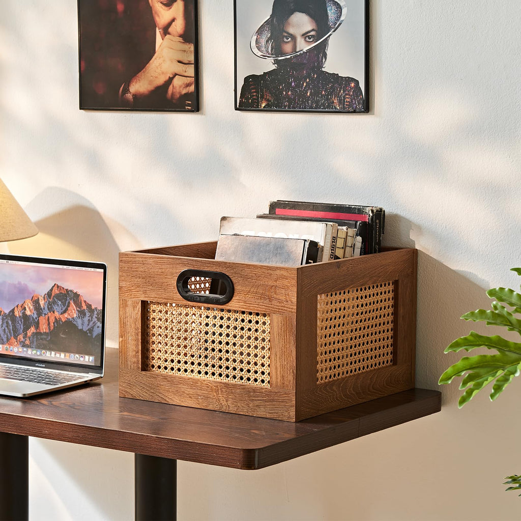 LEYAOYAO Vinyl Record Storage, Rattan Record Crate for Vinyl Albums Holder