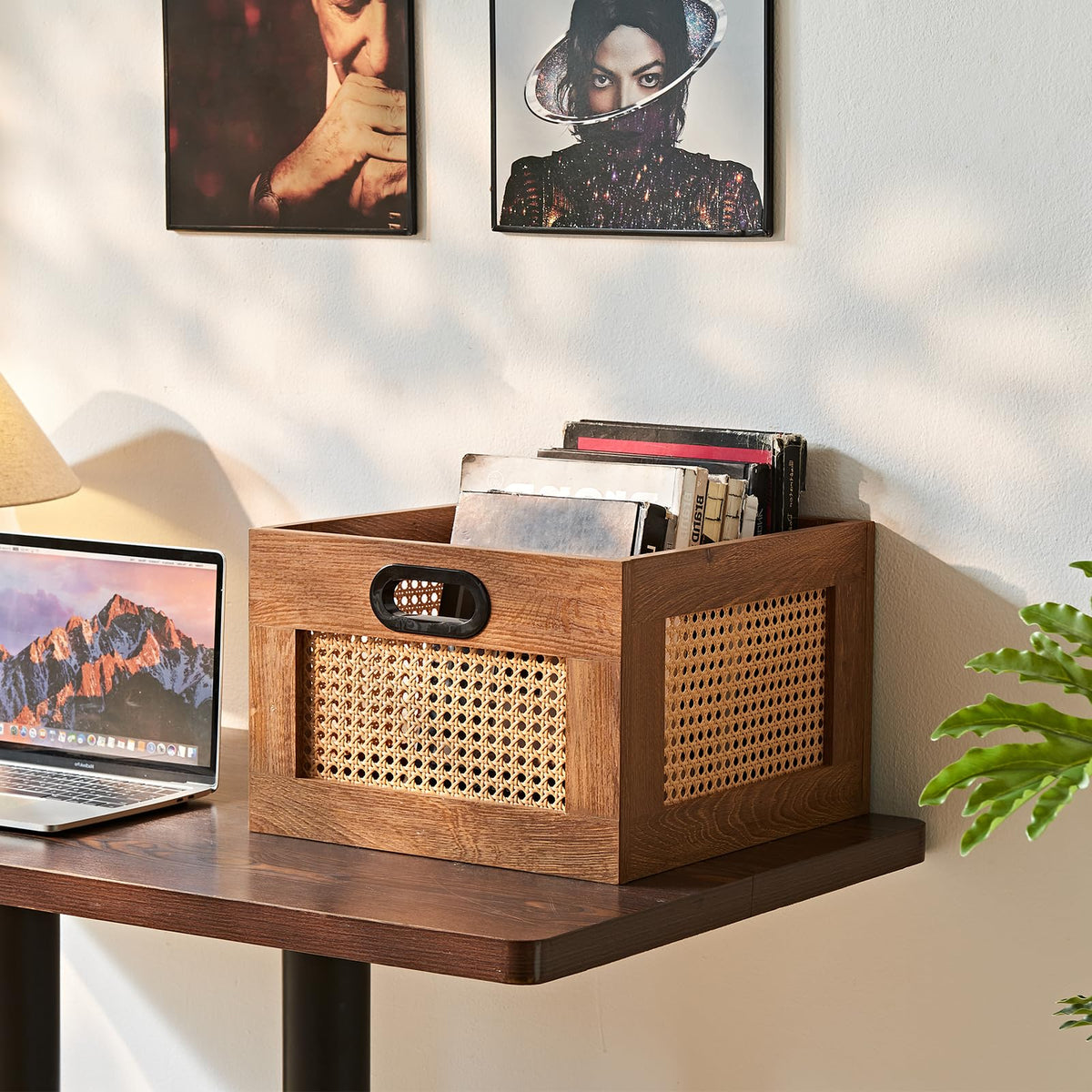 LEYAOYAO Vinyl Record Storage, Rattan Record Crate for Vinyl Albums Holder
