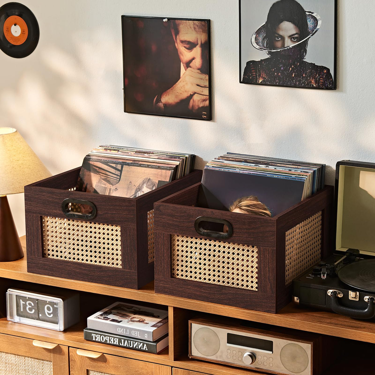 LEYAOYAO Vinyl Record Storage, Rattan Record Crate for Vinyl Albums Holder