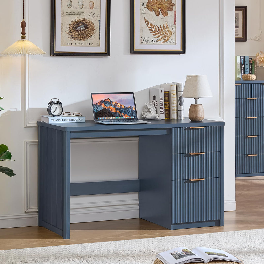 LEYAOYAO Office Desk 48" with 3 Drawers Storage File Cabinet