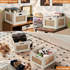 LEYAOYAO Vinyl Record Storage, Rattan Record Crate for Vinyl Albums Holder