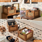 LEYAOYAO Vinyl Record Storage, Rattan Record Crate for Vinyl Albums Holder